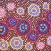 Mullewa wildflowers