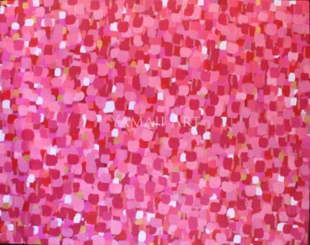 Pink Everlastings