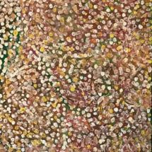 Murchison Wildflowers - Margaret Whitehurst
