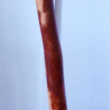 Plain Didgeridoo - Neil Fraser