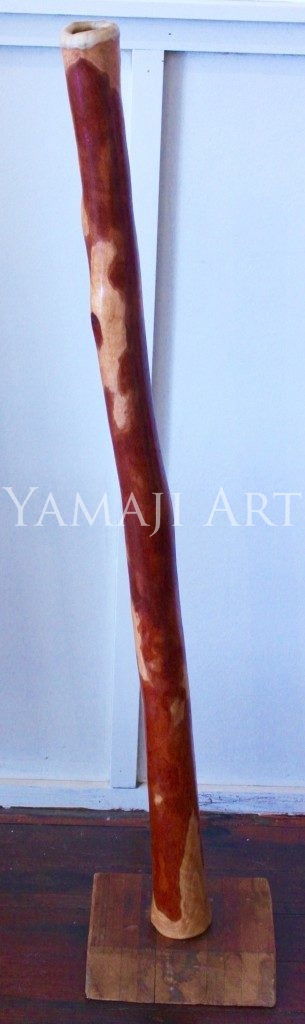 Plain Didgeridoo - Neil Fraser