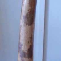 Self Standing Didjeridoo - Neil Fraser