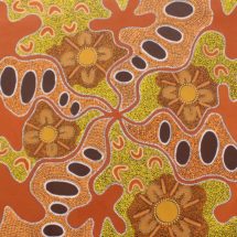 Travelling Through the Murchison - Margaret Whitehurst