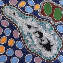 Emu in the Milkyway - Margaret Whitehurst