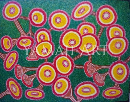 Gumtree Flower 2
