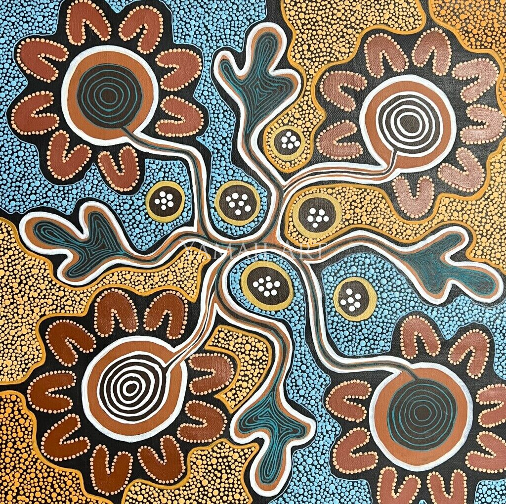 Yamaji Art Midwest WA Aboriginal Art Centre Geraldton