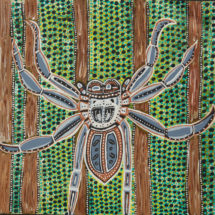 Gemma Merritt's Huntsman Spider