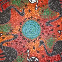 Susan Merry's Emus Feeding