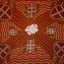 Susan Merry's Turtle Dreaming